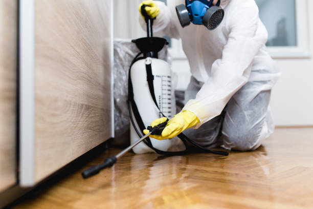 Professional Pest Control in Greensburg, IN