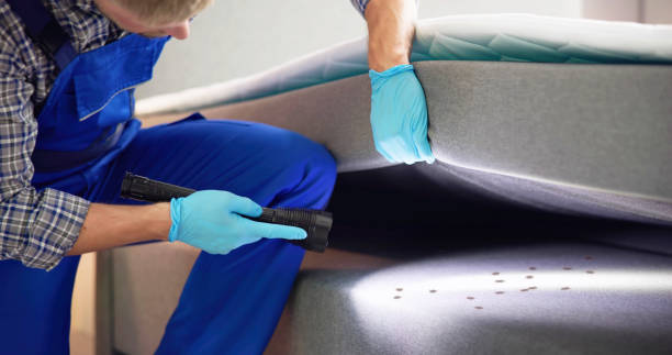 Best Bed Bug Extermination  in Greensburg, IN