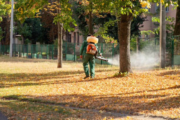 Best Termite Control Services  in Greensburg, IN