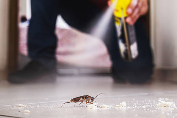Best Cockroach Control Services  in Greensburg, IN